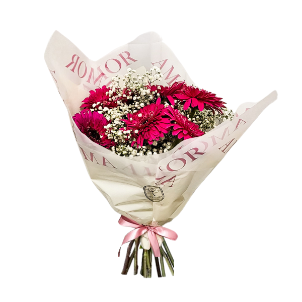 Buquê com Gérberas na cor rosa