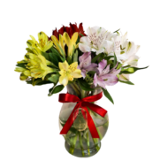 vaso de flores astromelias