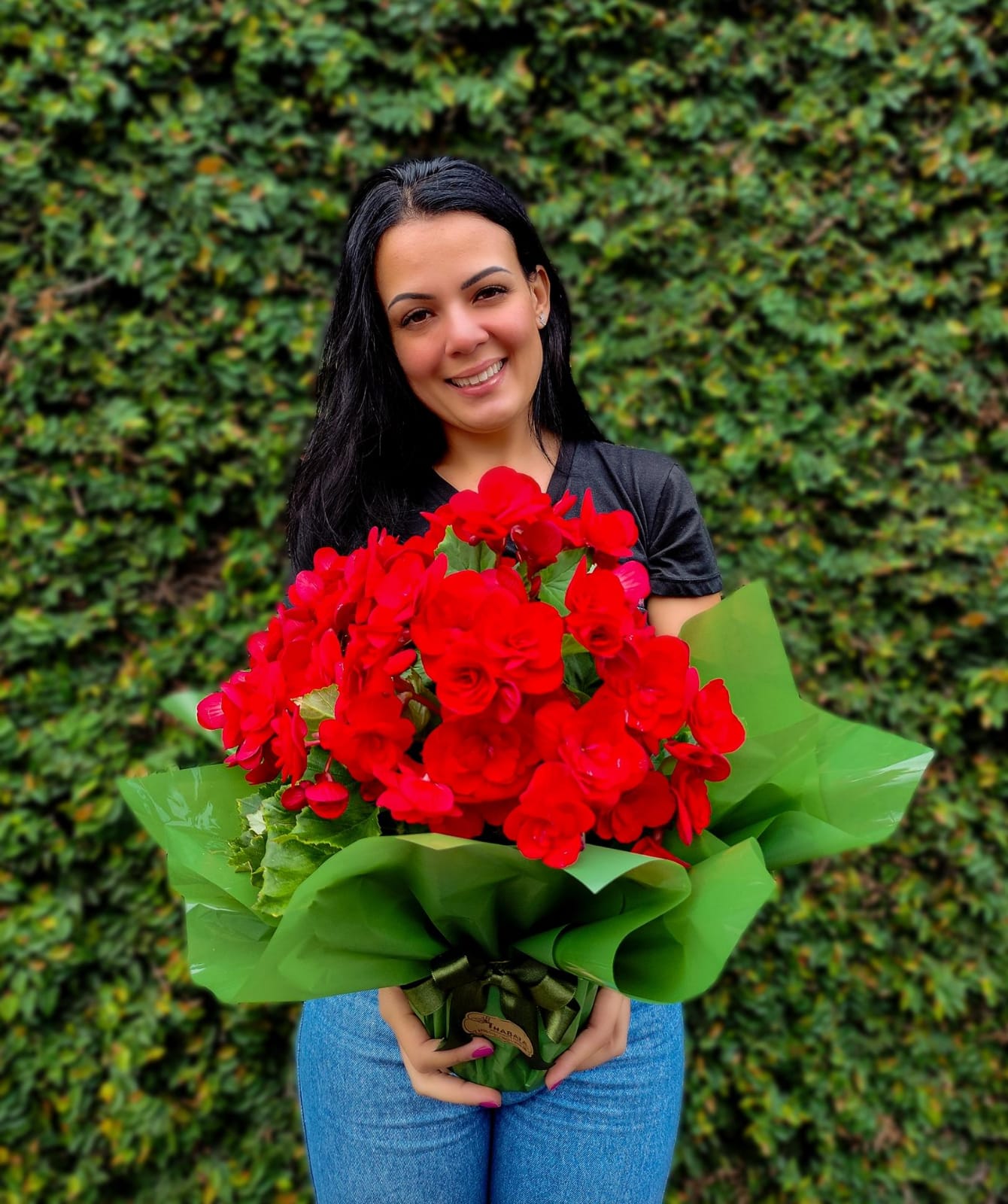 begônias vermelha plantada