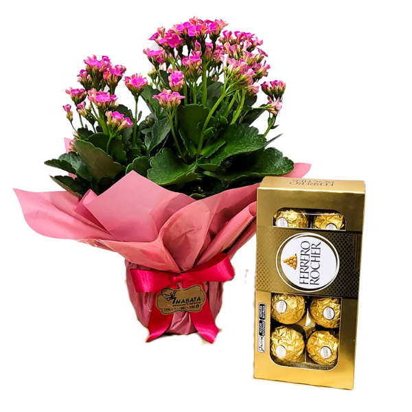 flor kalandiva com bombons ferrero rocher