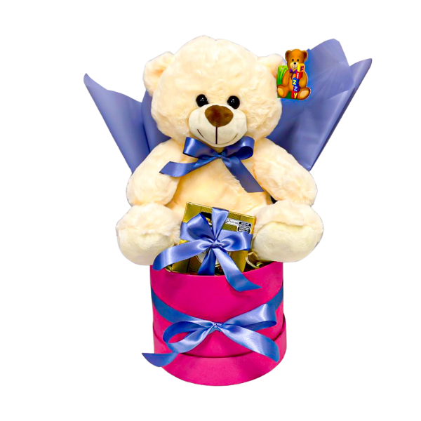 box-de-chocolate-com-pelucia box de chocolate com pelúcia