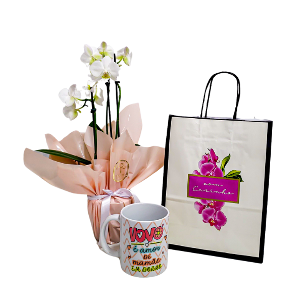 presente-dia-dos-avós presente dia dos avós