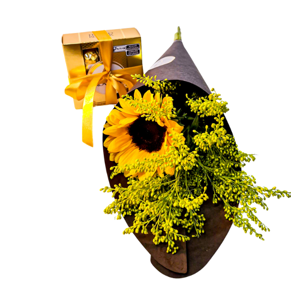 girassol com chocolate