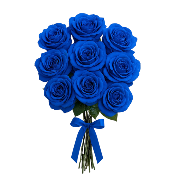 buque de rosas azuis para presentear a namorada, aniversario ou qualquer ocasiao especial