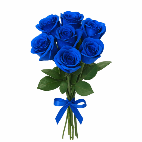 buque de rosas azuis para presentear a namorada, aniversario ou qualquer ocasiao especial