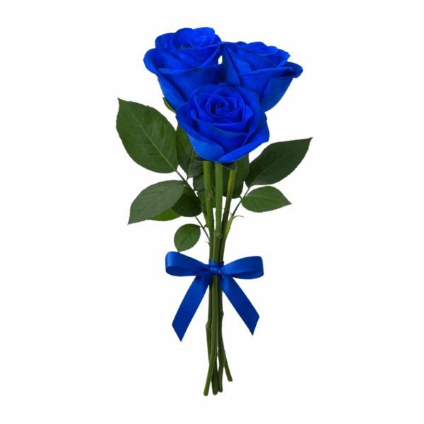 buque de rosas azuis para presentear a namorada, aniversario ou qualquer ocasiao especial