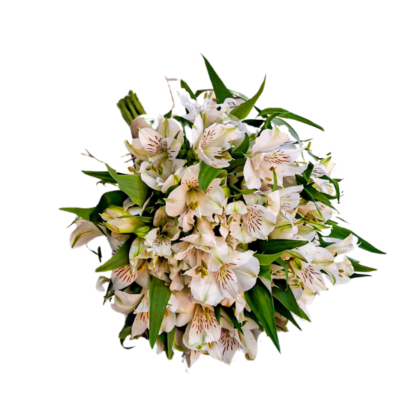 arranjo-de-flores arranjo de flores