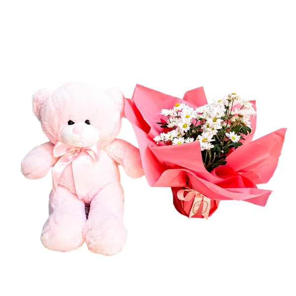 Margarida plantada com Ursinho rosa