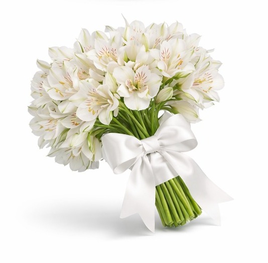 Buque de Astromelias Thabata