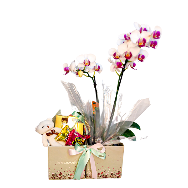 cesta com orquidea e chocolate para presentear em datas especiais