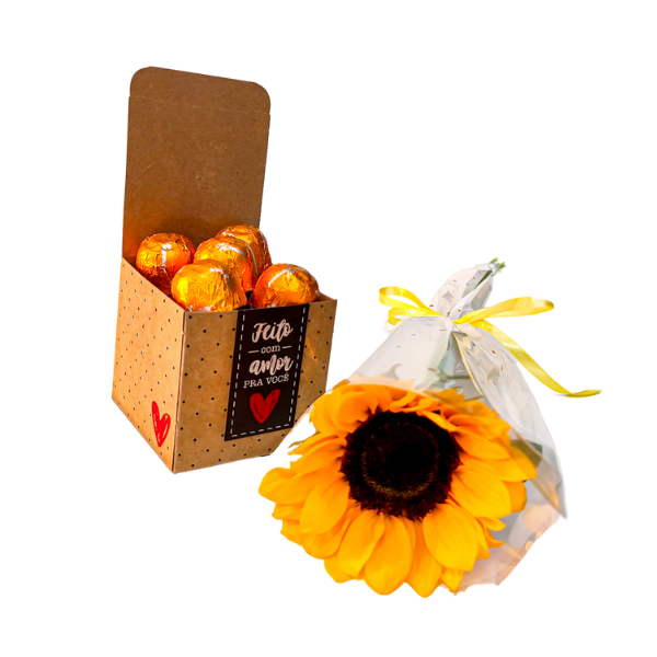 girassol-com-chocolate girassol com chocolate