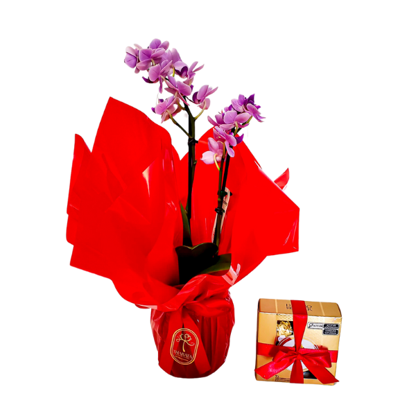 Orquídea Lilás e Caixa Ferrero Rocher 4 Unidades