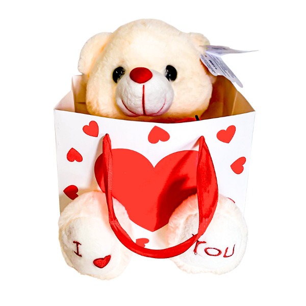 urso de pelucia