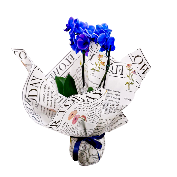 orquidea azul