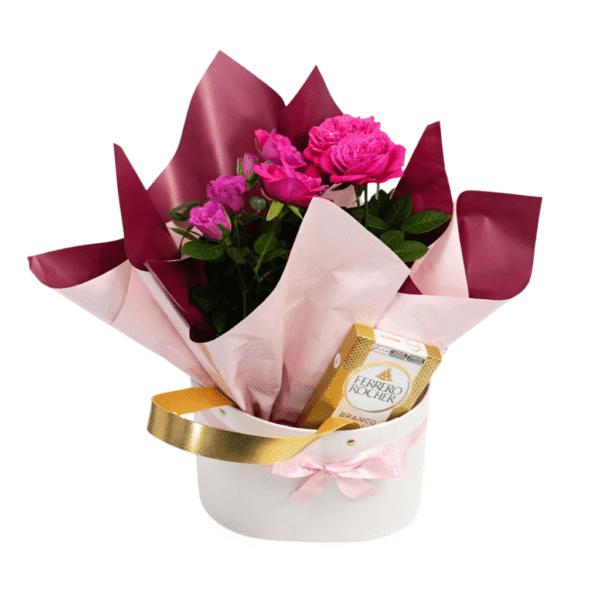 Box com lindas flores e chocolate para presentear